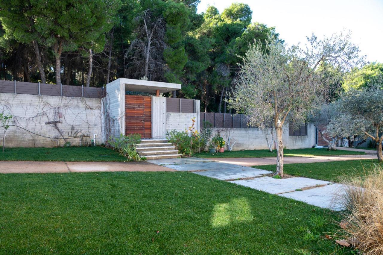 Villa Kalamos / Sea View And Pool Nearby Athens Exterior photo
